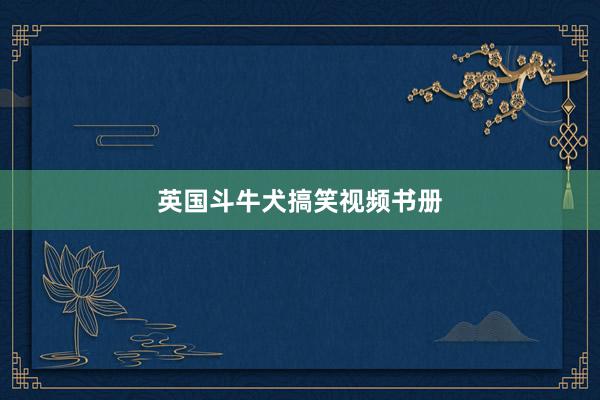 英国斗牛犬搞笑视频书册