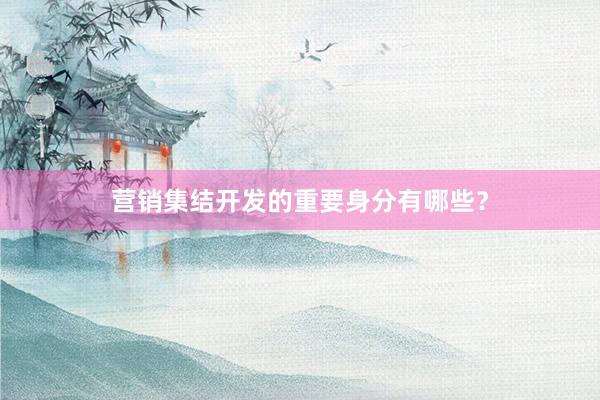 营销集结开发的重要身分有哪些？